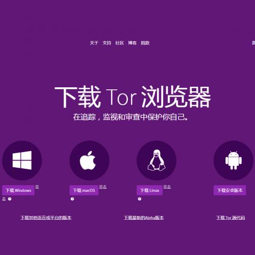 【安装包】暗网浏览器 | Tor Browser 电脑版 | PC 暗网匿名浏览器 | 直接给你安装包 | 安装非常简单按提示即可 |